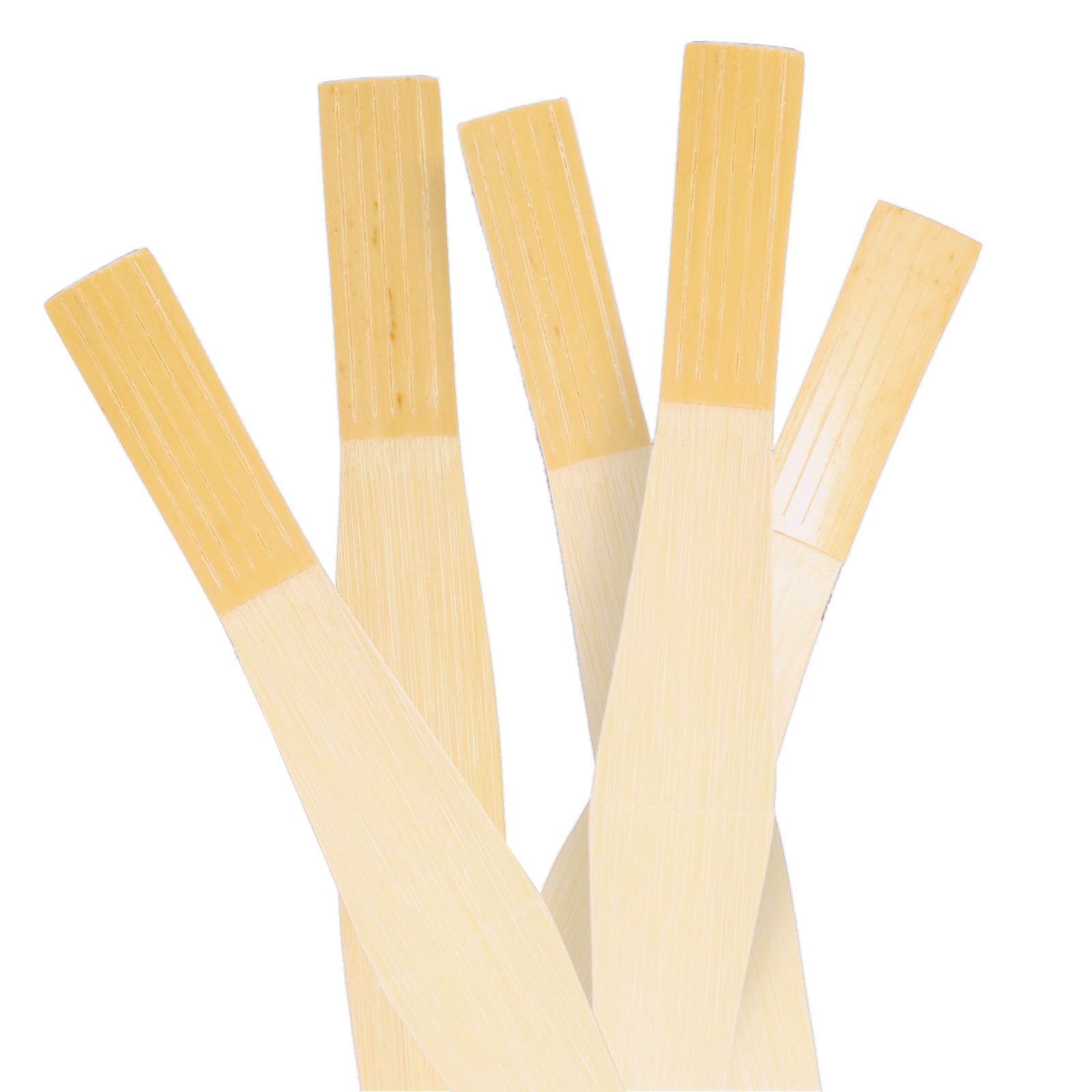 Barton Bassoon Cane Bundles (10 Pieces) ABI Music Ltd